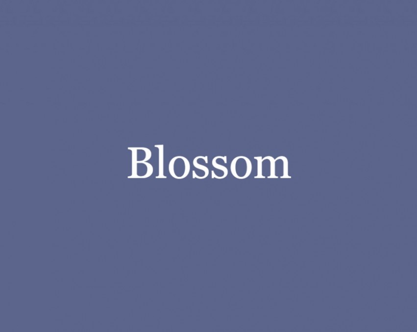 Blossom